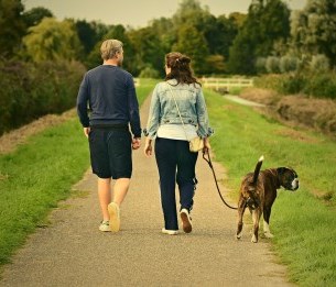 walking dog