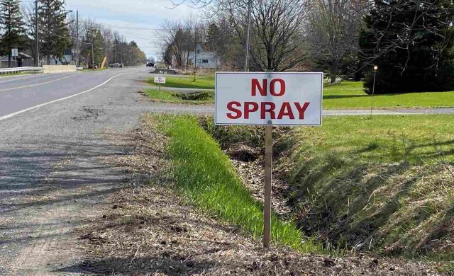 Roadside Sign that reads "No Spray"