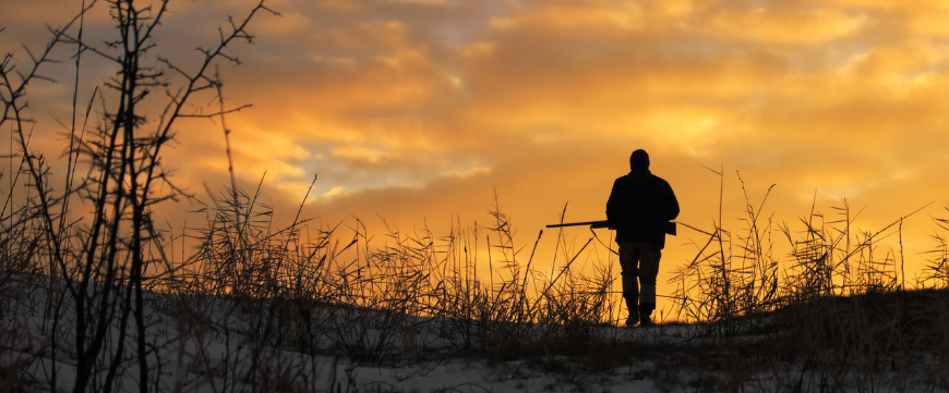 Silhouette of man with rifle walking in field at sunrise