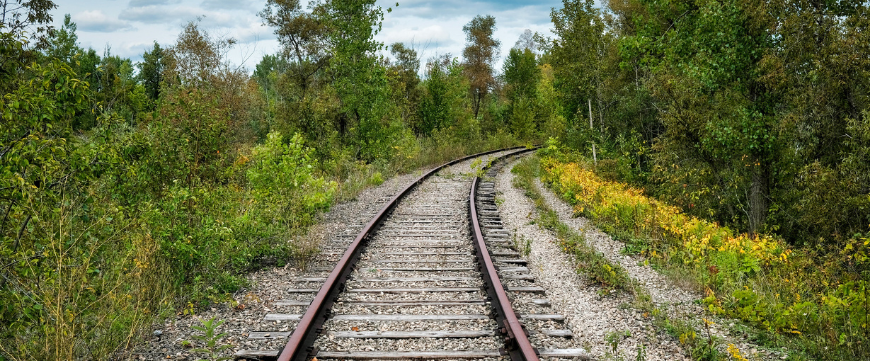 Railroad tracks in wooded area