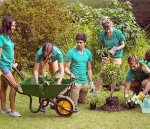 group of people planting trees and landscaping